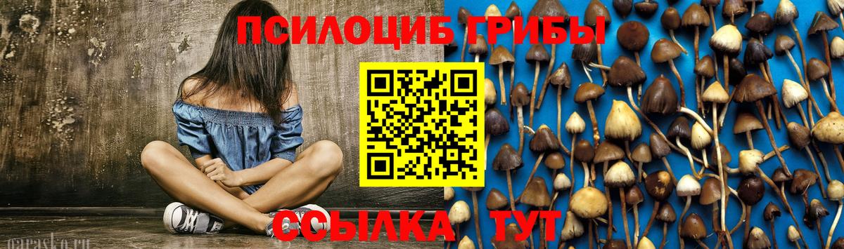 Галлюциногенные грибы прущие грибы Лабинск