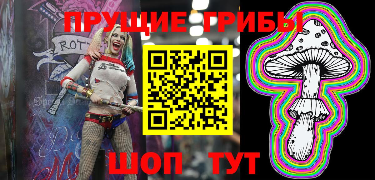 Лабинск  Псилоцибиновые грибы Psilocybine cubensis  Вход с VPN 